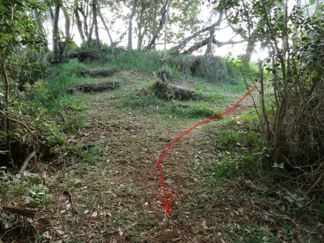Croisement avec le sentier remontant la Ravine des Cafres