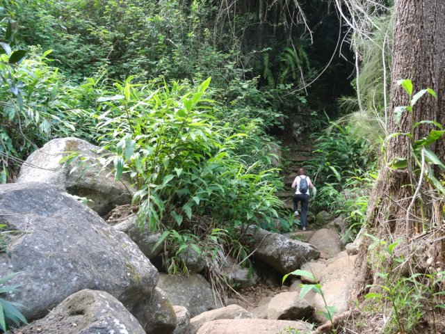 Traversée de la Ravine des Cafres