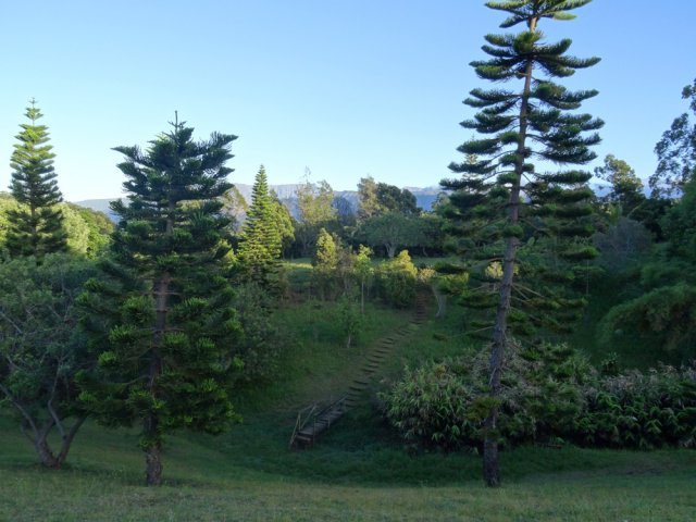 Coup d’œil sur une partie du domaine