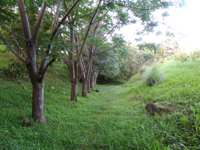 Redescente en empruntant le fond de la ravine à sec