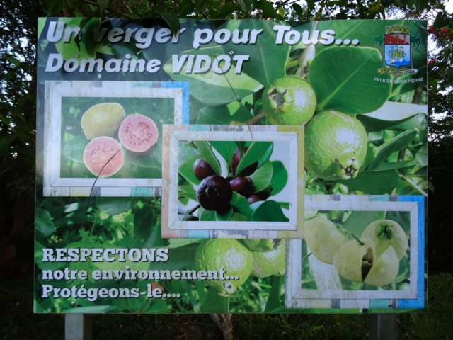 Le verger pour tous. Chacun peut cueillir les fruits rencontrés