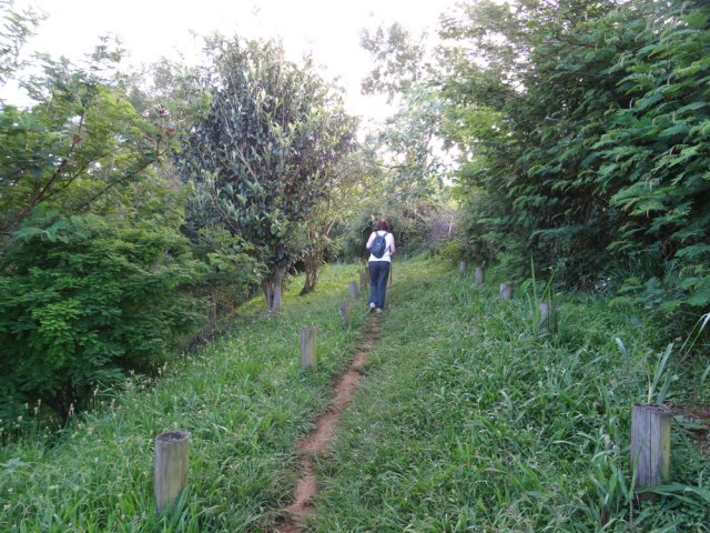 Sentier facile et bien entretenu