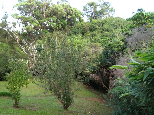 Le sentier s'éloigne du captage en remontant vers la route