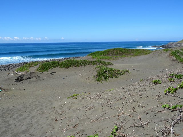 Retour en bord de mer sur le sable gris surchauffé