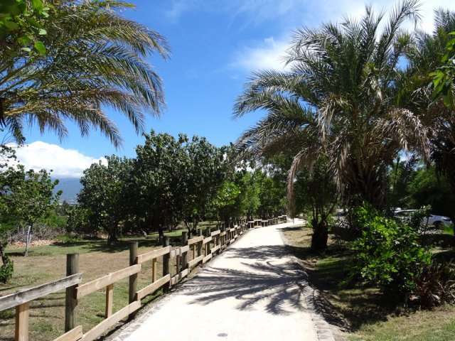 La partie sud est couverte d'un beau parc arboré