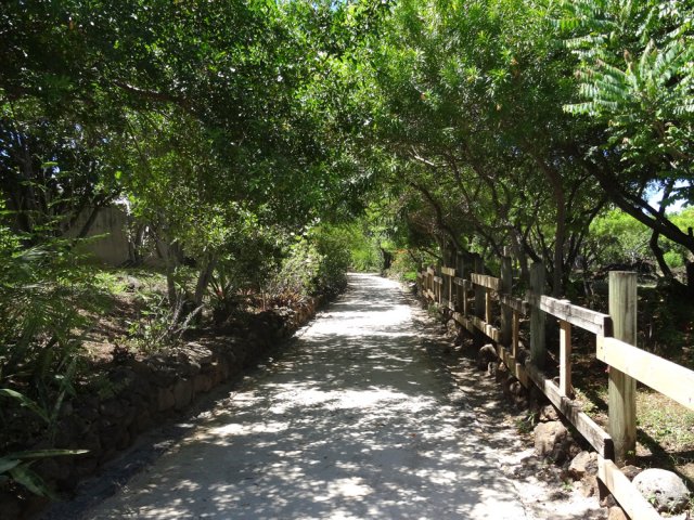 La seule véritable zone ombragée en fin de parc