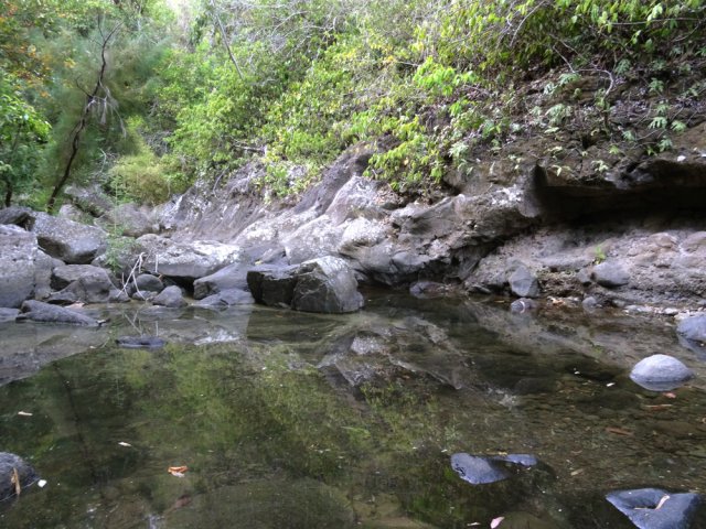 Plus on monte et plus on rencontre de petits bassins ...