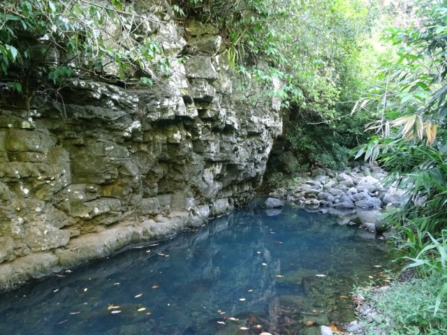 ... mais l'eau n'est pas toujours renouvelée