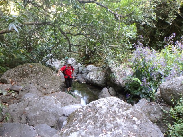 Chercher le bon passage entre branches, roches et bassins