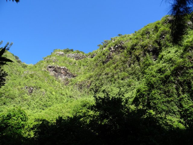 Les falaises infranchissables qui longent la ravine