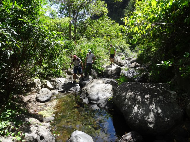 Vers l'amont, l'eau est de plus en plus claire et fraîche
