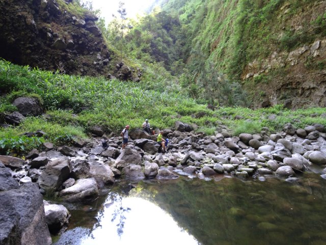 Pique-nique agréable près du grand bassin