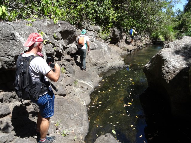 Le captage constittue une petite réserve d'eau claire