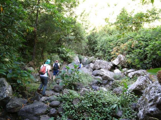 La montée s'effectue à l'instinct