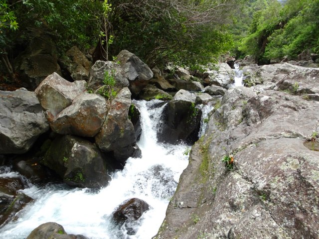 La ravine pérenne est assez forte