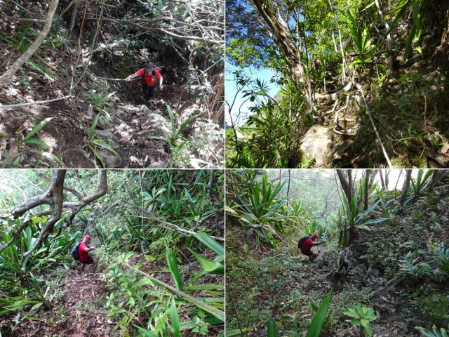 Quelques passages encordés pour rejoindre le Bras des Roches Noires