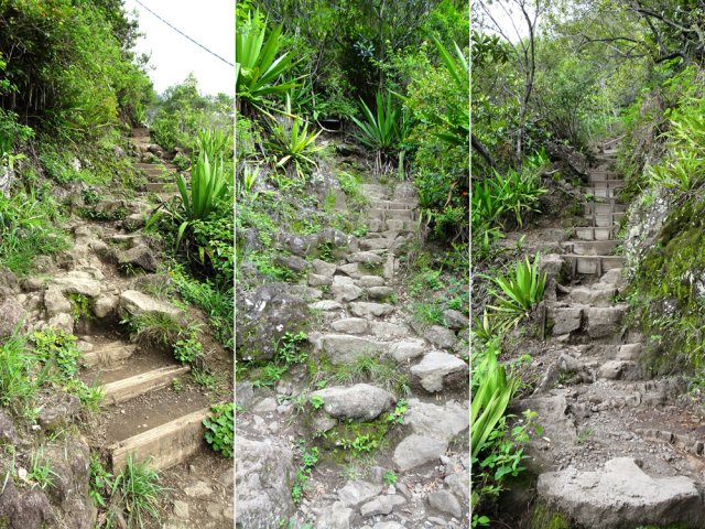 Une longue série de volées de marches à affronter en descente comme en montée