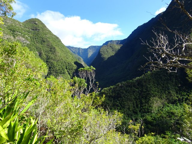 La vallée du Bras des Roches Noires durant la descente