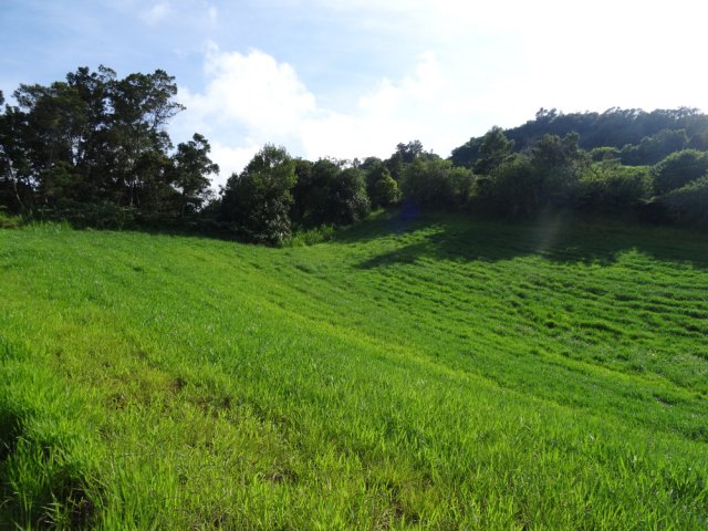 Une prairie aussitôt après les habitations