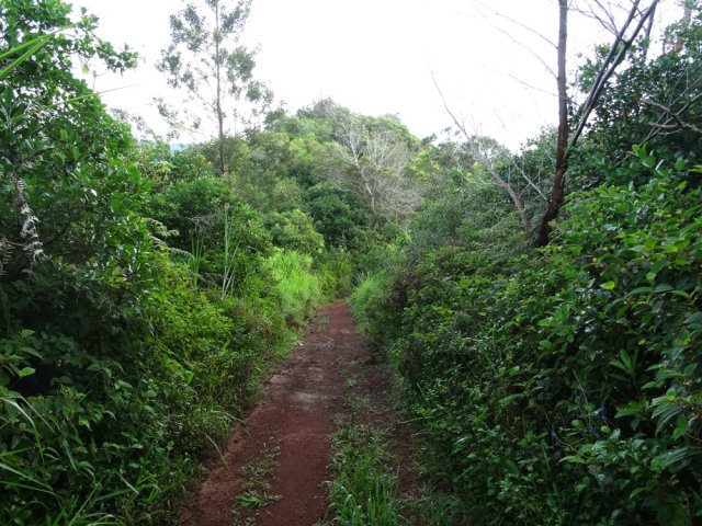 Le sentier qui rejoint le relais et les zones d'entraînement