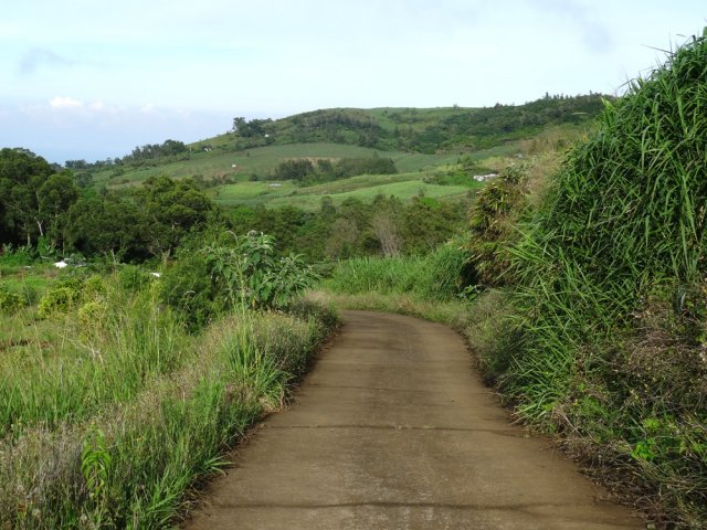 Début de la descente vers Manapany les Hauts par une petite route dans les champs