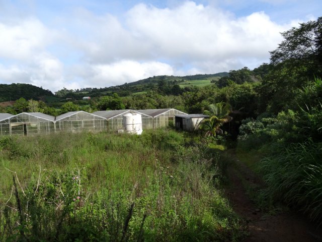 On traverse de grandes serres vides et à l'abandon