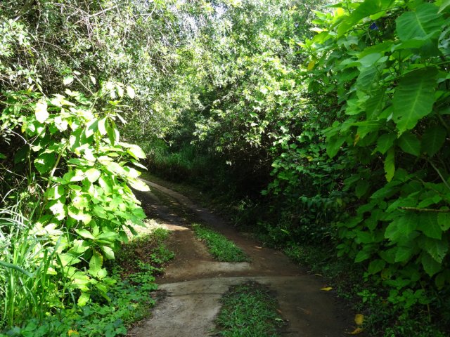 Un peu de piste bétonnée pour les maisons isolées