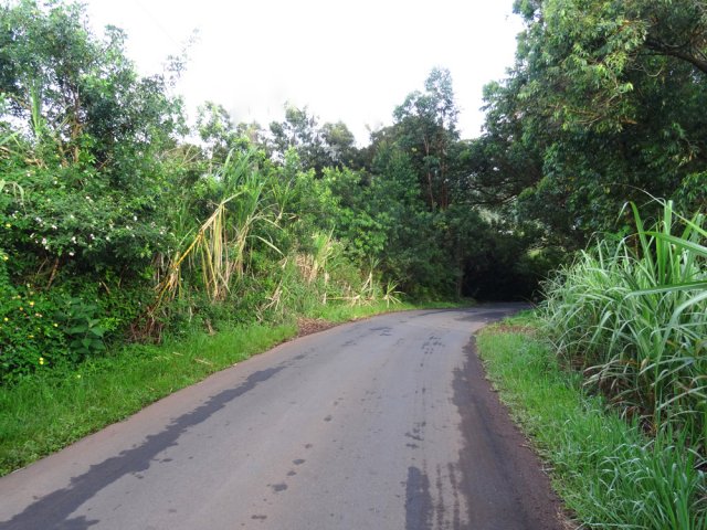 La route du Relais, en pente douce, calme et sans grande circulation