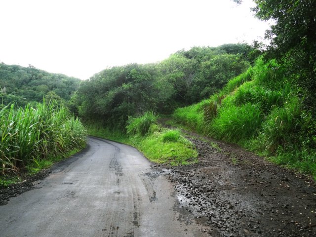Embranchement pour monter vers la droite en direction du Piton du Relais