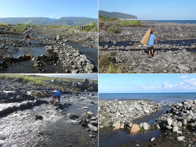 Tout l'estuaire est livré aux pêcheurs de bichiques