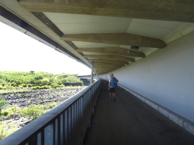 Tous les ponts devraient être piétonniers pour des facilités de circulation