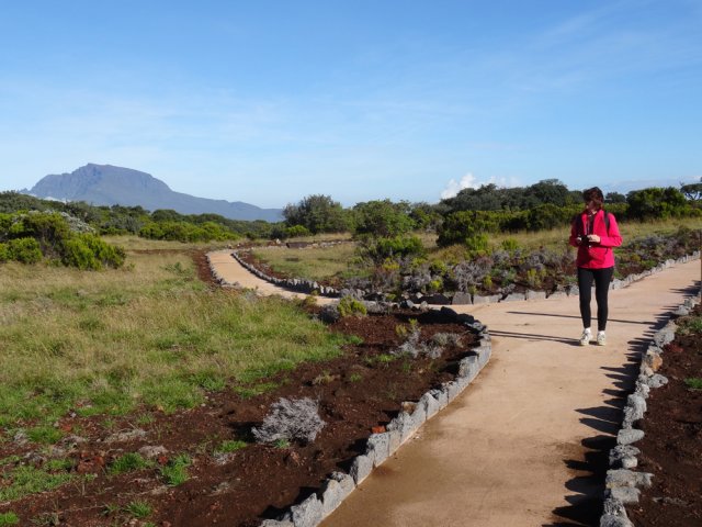 Légère descente vers le belvédère