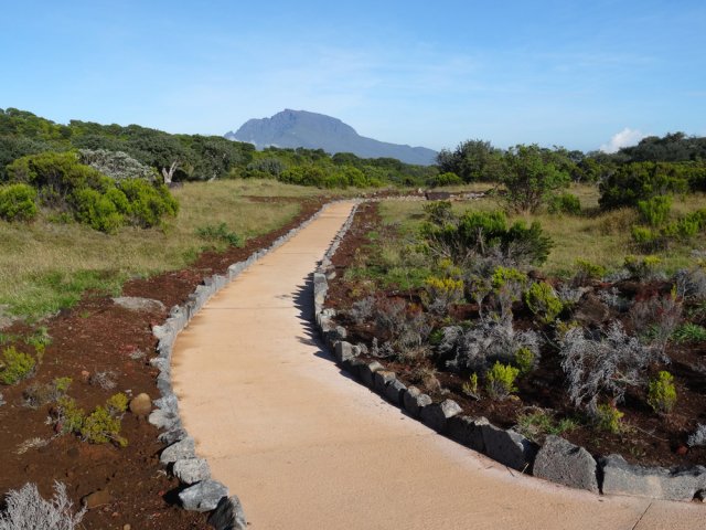 Un autre point de vue sur le Piton des Neiges en deuxième partie de boucle