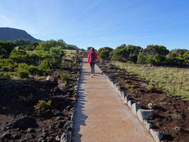 Très vite, les abords se couvriront de végétation