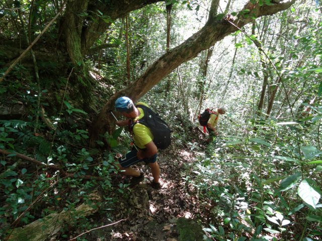 Encore de fortes pentes dans les bois de couleurs