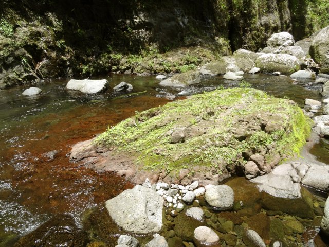 L'eau claire permet de voir les cabots posés sur les roches au fond de l'eau