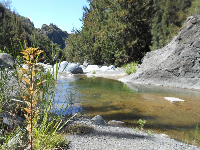 Sur de courtes distances la rivière semble très calme