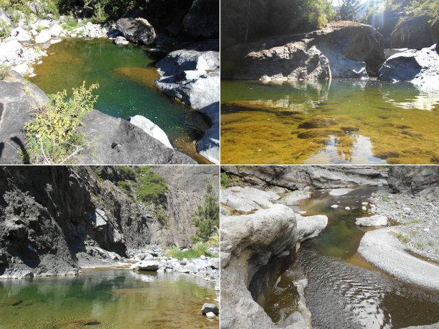 Quatre bassins sur la quinzaine rencontrés