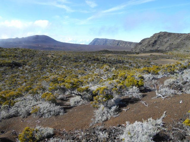 Point de vue depuis le premier petit piton
