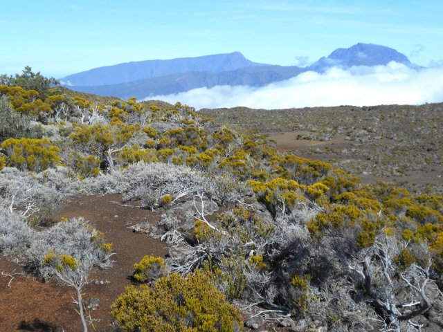 Promenade facile en hors sentier sur le premier piton (2412)