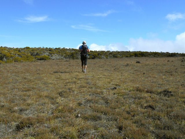 Traversée de la plus vaste avant d'arriver à la piste cavalière