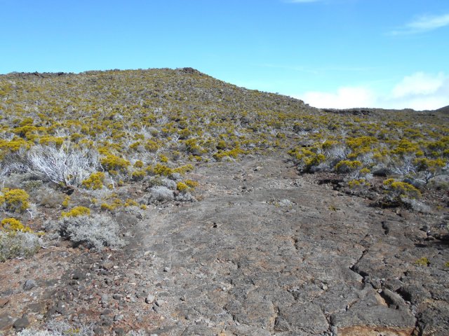 Emprunter ou non une courte portion de piste jusqu'à la caverne des Lataniers