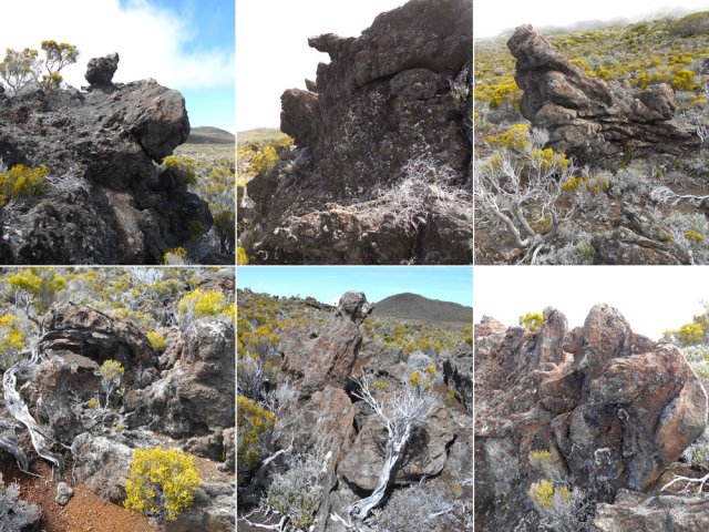 Festival des formes à imaginer...