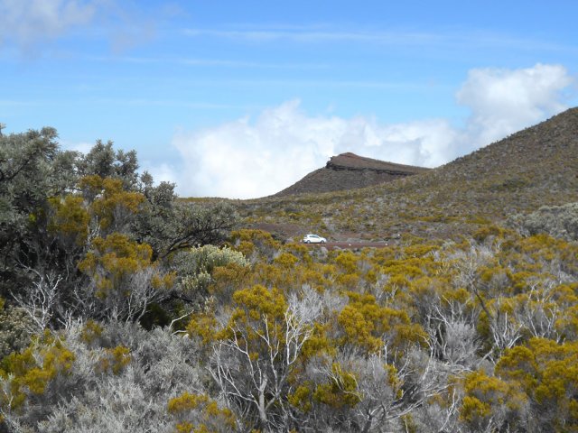 On marche à moins de 100 mètres de la route forestière