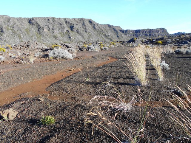 Cheminement à plat sur sable et herbes vers la Plateau des Basaltes