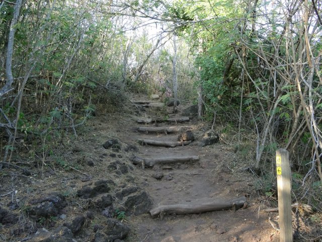 Tout le Piton de Grande Anse se grimpe sur des marches poussiéreuses