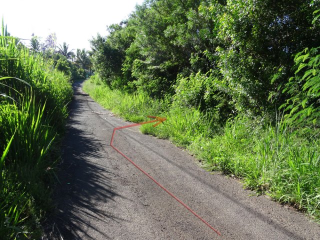 Le racourci depuis la rue F.M. Manapany vers le plage de Petit Sable