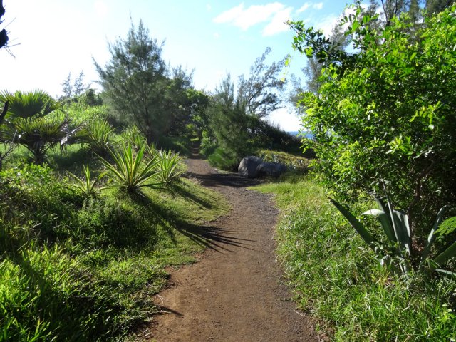 Sentier littoral de très bonne qualité vers Saint-Joseph