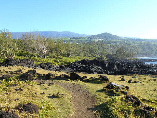 Sentier bordé de gazon bord de mer vers Vincendo