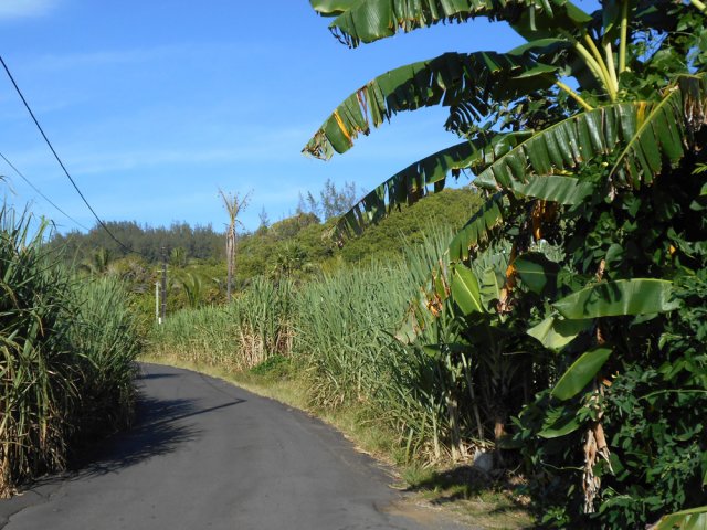 Le Chemin du Port en direction du village de Vincendo